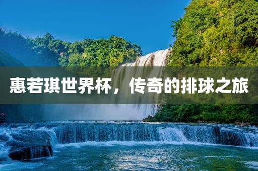 惠若琪世界洛阳市法福文化传播有限公司杯，传奇的排球之旅