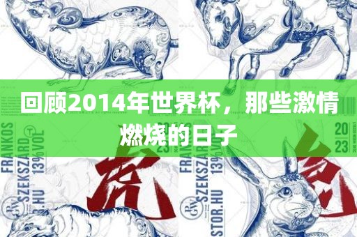 回顾2014年世界杯，那些激情燃烧的日子