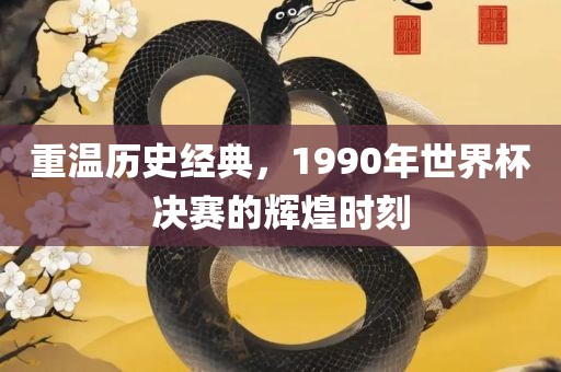 重温历史经典，199洛阳市法福文化传播有限公司0年世界杯决赛的辉煌时刻