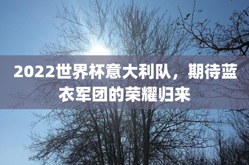 2022世界杯意大利队，期待蓝衣军团的荣耀归来洛阳市法福文化传播有限公司
