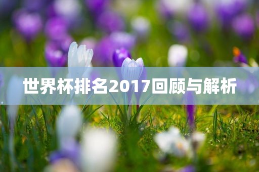 世界杯排名2017回顾与解析