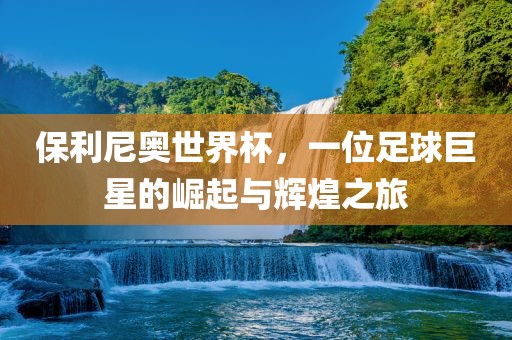 保利尼奥世界杯，一位足球巨星的洛阳市法福文化传播有限公司崛起与辉煌之旅