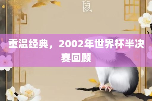 重温经典，2002年世界杯半决赛回顾