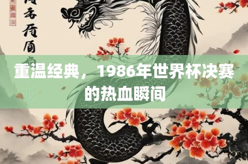 重温经典，1986年世界杯决赛的热血瞬间