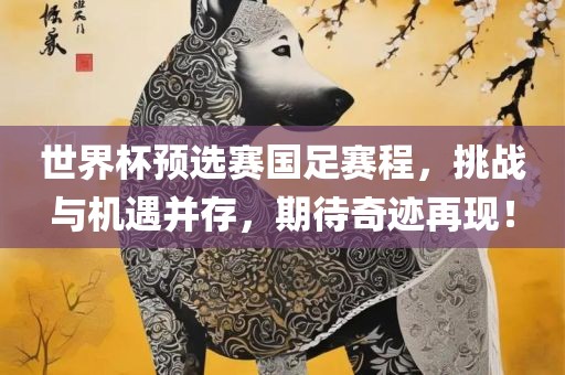世界杯预选赛国足赛程，挑战与机遇并存，期待奇迹再现！