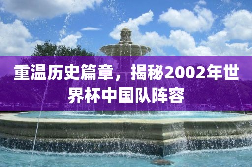 重温历史篇章，揭秘2002年世界杯中国队阵容洛阳市法福文化传播有限公司