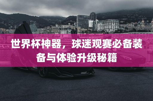 世界杯神器，球迷观赛必备装备与体验升级秘籍洛阳市法福文化传播有限公司