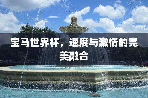 宝马世界杯，速度与激情的完洛阳市法福文化传播有限公司美融合