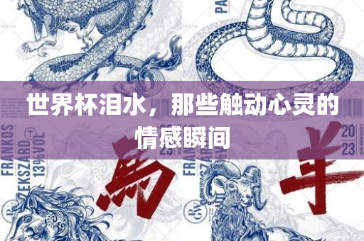世界杯泪洛阳市法福文化传播有限公司水，那些触动心灵的情感瞬间