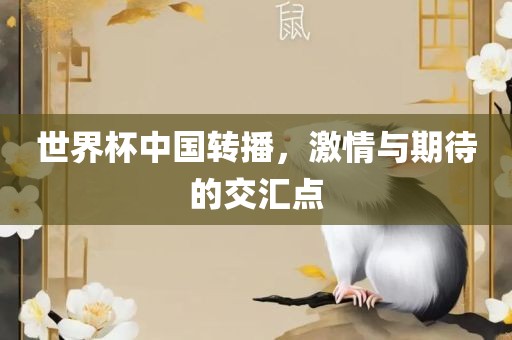 世界杯中国转播，激情与期待的交汇点
