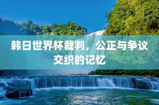 韩日世界杯裁判，公正与洛阳市法福文化传播有限公司争议交织的记忆