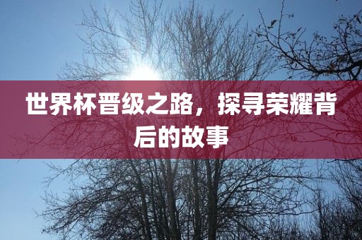 世界杯晋级之路，探寻荣耀背后的故事