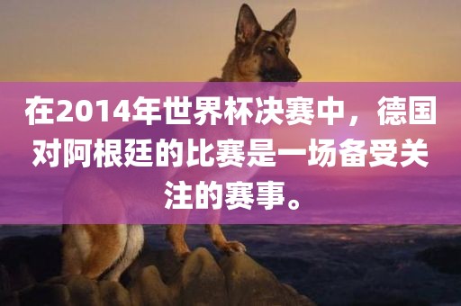 在2014年世界杯决赛中，德国对阿根廷的比赛是一场备受关注的赛事。