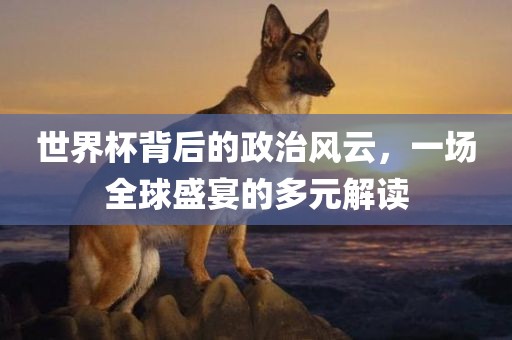 世洛阳市法福文化传播有限公司界杯背后的政治风云，一场全球盛宴的多元解读