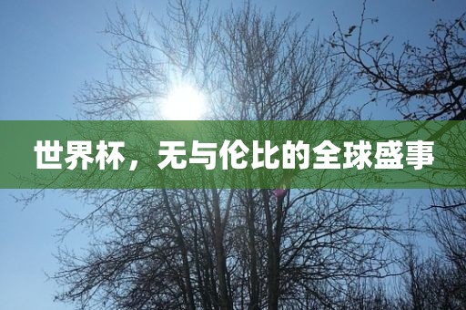 世界杯，无与伦比的全球盛事