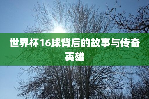 世界杯16球背后的故事与传奇英雄