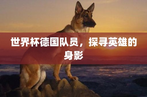 世界杯德国队员，探寻英雄的身影洛阳市法福文化传播有限公司