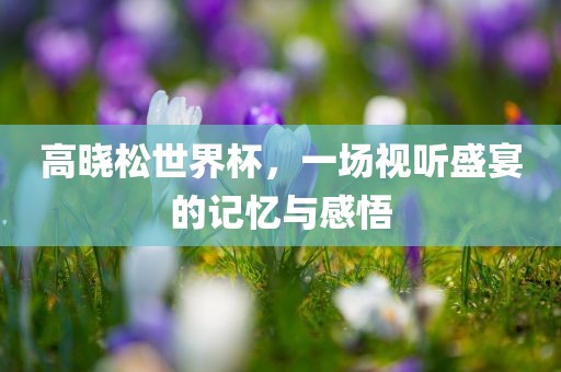高晓松世界杯，洛阳市法福文化传播有限公司一场视听盛宴的记忆与感悟