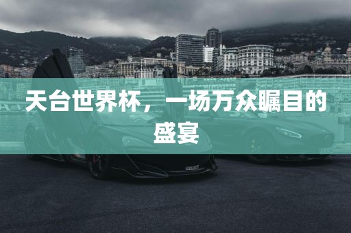 天台世界杯，一场万众瞩目的洛阳市法福文化传播有限公司盛宴