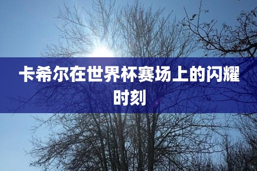 卡希尔在世界杯赛场上的闪耀时刻洛阳市法福文化传播有限公司