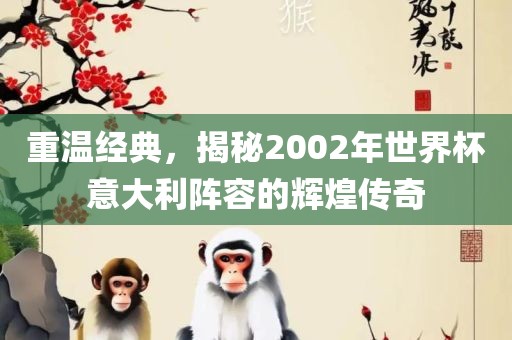 重温经典，揭秘2002年世界杯意大利阵容的辉煌传奇