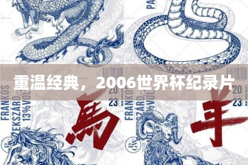 重温经典，2006世界杯纪录片