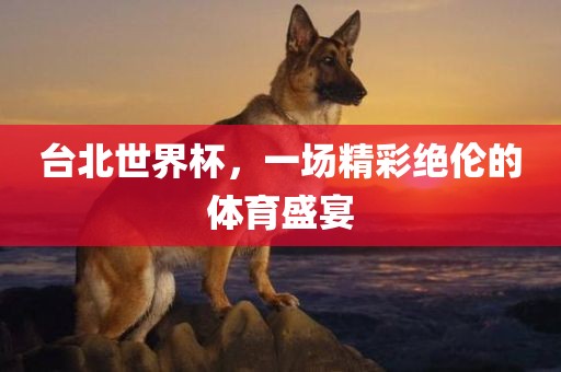 台北世界杯，一场精彩绝伦的体育盛宴