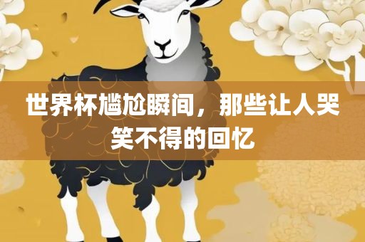 世界杯尴尬瞬间，那些让人哭笑不得的回忆洛阳市法福文化传播有限公司