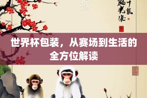 世界杯包装，从赛场到生活的全方位解读洛阳市法福文化传播有限公司