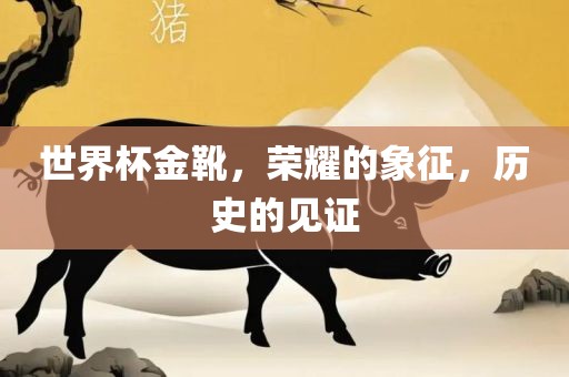 世界杯金靴，荣耀的象征，历史的见证
