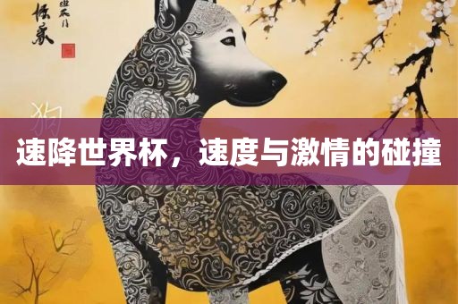 速降世界杯，速度与激情的碰撞洛阳市法福文化传播有限公司