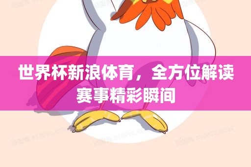 世界杯新浪体育，全方位解读赛事精彩瞬间