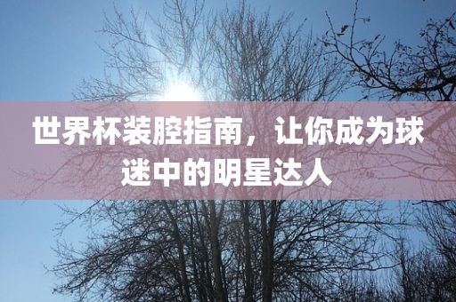 世界杯装腔指南，让你成为球迷洛阳市法福文化传播有限公司中的明星达人