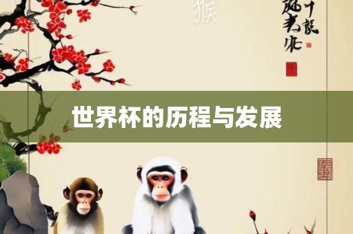 世界杯的历程与发展洛阳市法福文化传播有限公司