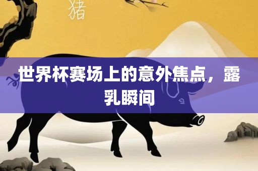 世界杯赛场上的意外焦点，露乳瞬间