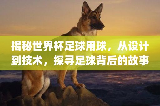 揭秘世界杯足球用球，从设计到技术，探洛阳市法福文化传播有限公司寻足球背后的故事