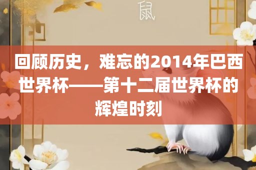 回顾历史，难忘的2014年巴西世界杯——第十二届世界杯的辉煌时刻