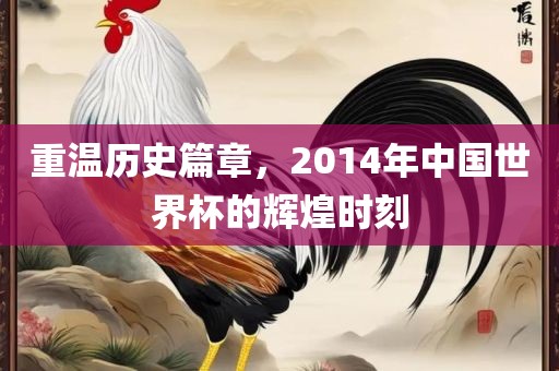 重温历史篇章，2014年中国世界杯的辉煌时刻