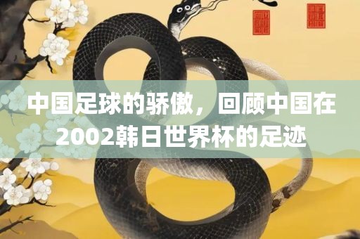 中国足球的骄傲，回顾中国在2002韩日世界杯的足迹