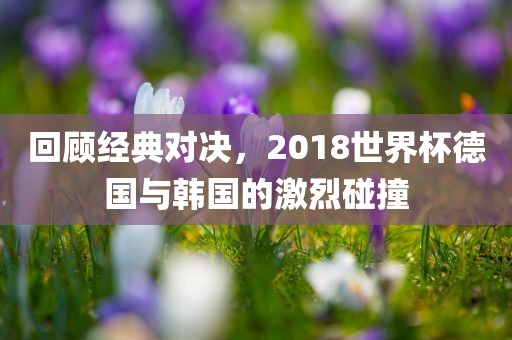 回顾经典对决，2018世界杯德国与韩国的激烈碰撞洛阳市法福文化传播有限公司