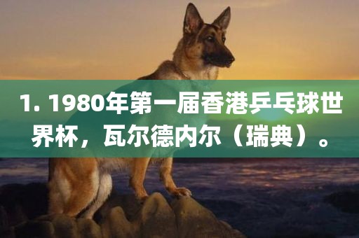1. 1980年第一届香港乒乓球世界杯，瓦尔德内尔（瑞典）。洛阳市法福文化传播有限公司