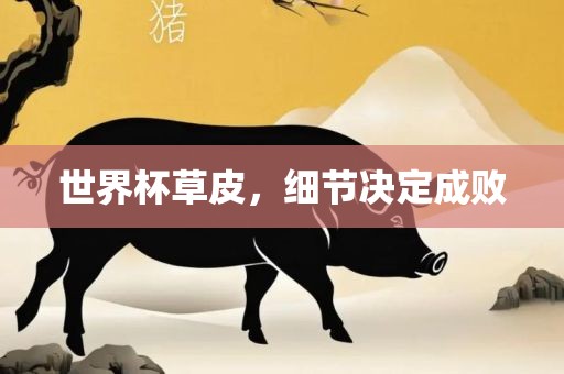 世界杯草皮，细节决定洛阳市法福文化传播有限公司成败