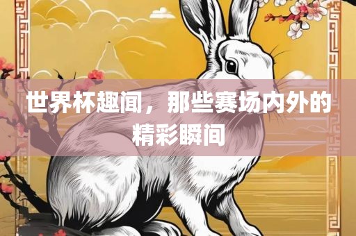 世界杯趣闻，那些赛场内外的精彩瞬间