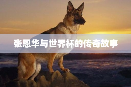 张恩华与世界杯的传奇故事