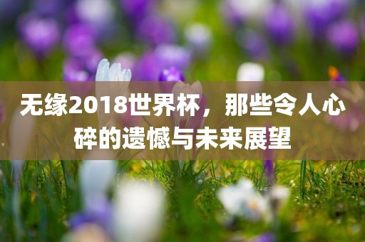 无缘2018世界杯，那些令人心碎的遗憾与未来展望