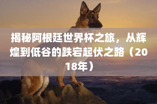 揭秘阿根廷世界杯之旅，从辉煌到低谷的跌宕起伏之路（2018年）