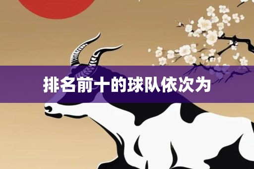 排名前十的球队依次为洛阳市法福文化传播有限公司
