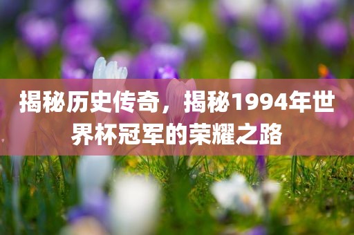 揭秘历史传奇，揭秘1994年世界杯冠军的荣耀之路洛阳市法福文化传播有限公司