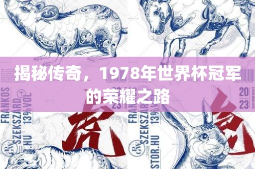 揭秘传奇，1978年世界杯冠军的荣耀之路洛阳市法福文化传播有限公司