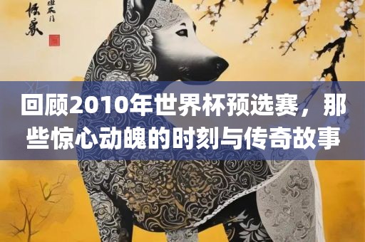 回顾2010年世界杯预选赛，那些惊心动魄的时刻与传奇故事